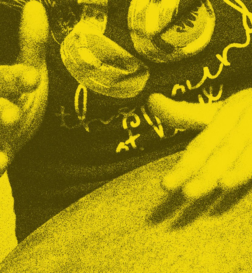 Illustrationen und Webdesign für Missmacho